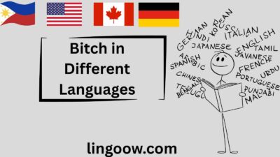 Bitch in Different Languages