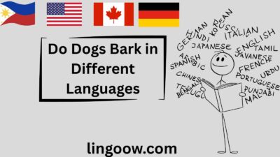 Do Dogs Bark in Different Languages
