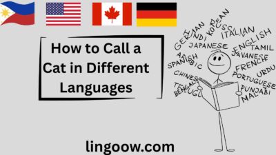 How to Call a Cat in Different Languages