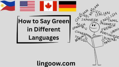How to Say Green in Different Languages