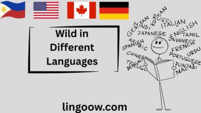 Wild in Different Languages