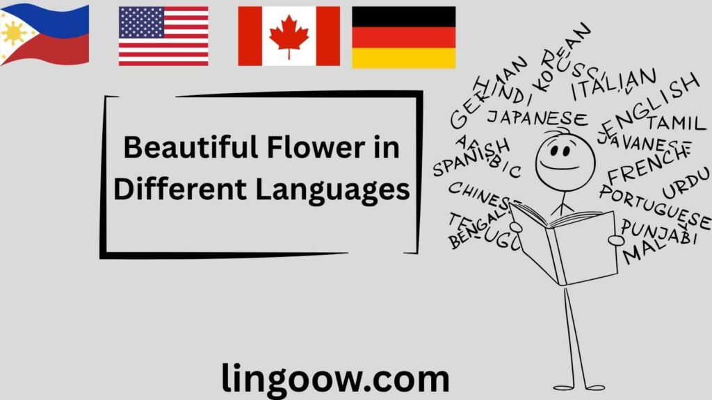 Beautiful Flower in Different Languages