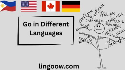 Go in Different Languages