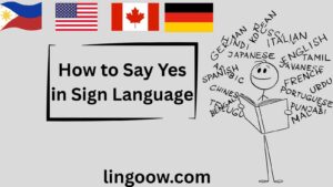 How to Say Yes in Sign Language