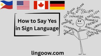 How to Say Yes in Sign Language