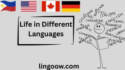 Life in Different Languages
