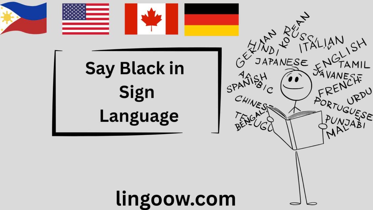 Say Black in Sign Language