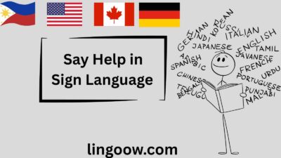 Say Help in Sign Language