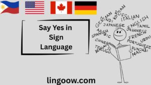 How Do You Say Yes in Sign Language