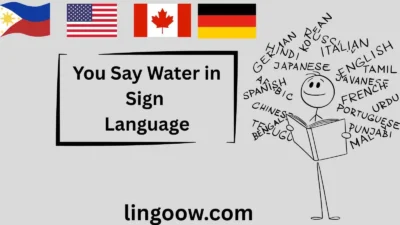 You Say Water in Sign Language
