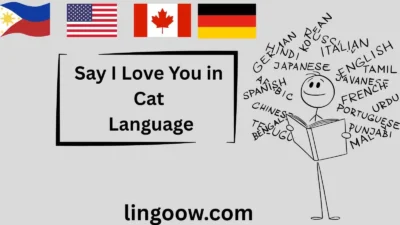 Say I Love You in Cat Language